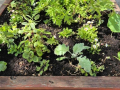 b478ed31-2480-41b1-98ca-fc751340a23d