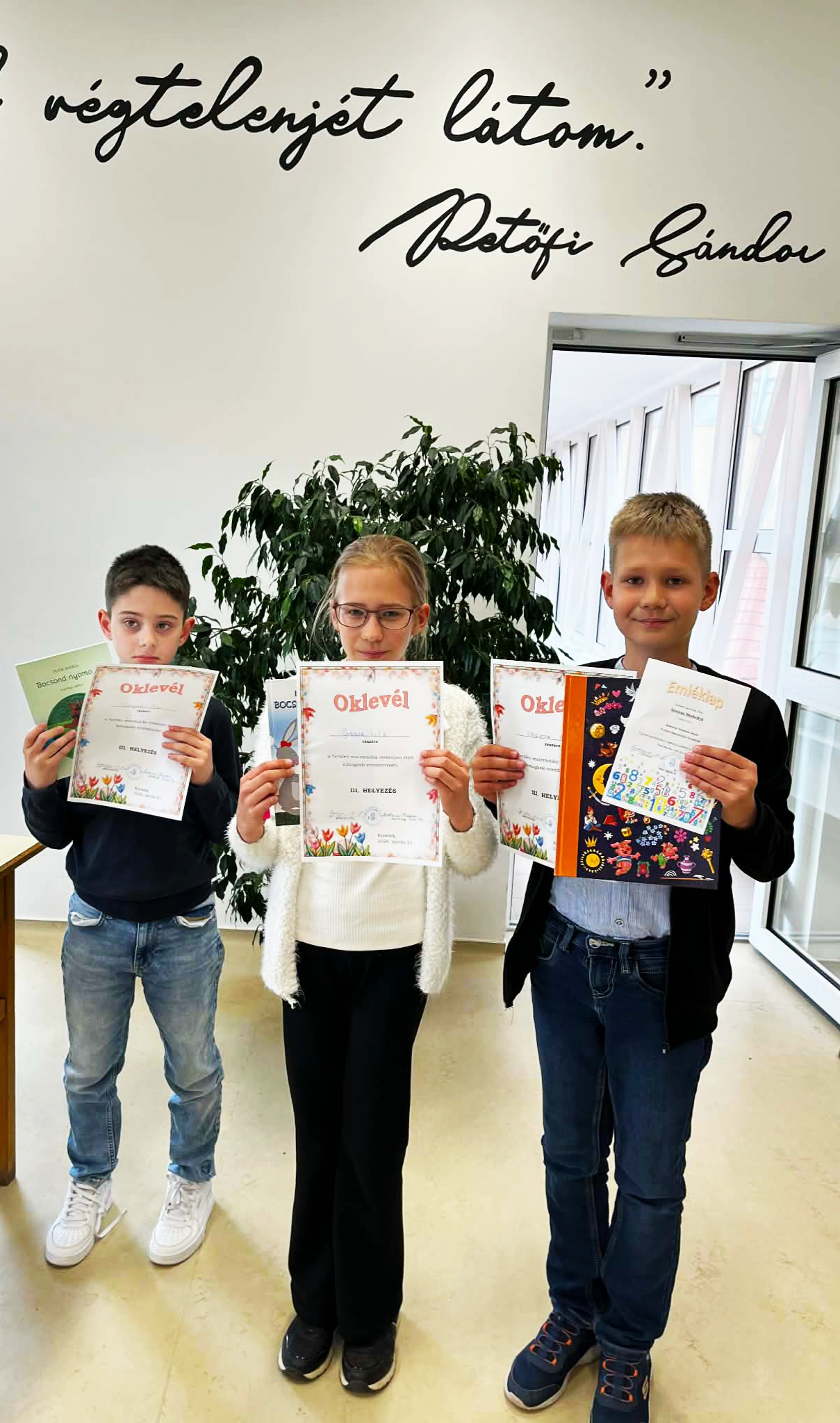 Területi matematika verseny