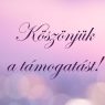 IV. Jótékonysági Szülők Bálja