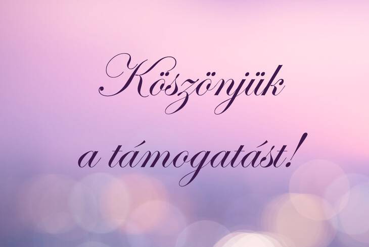 IV. Jótékonysági Szülők Bálja